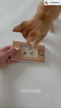 Wakka water game demo play cat